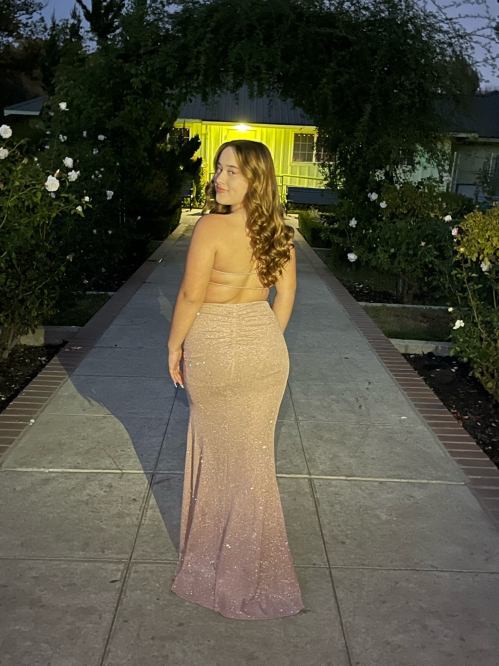 Windsor Rose Gold Sequin Backless Evening Gown